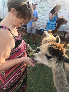 2018-07-21 19.01.56-1